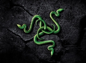 Razer zainwestuje 30 milionów w branżę wearables